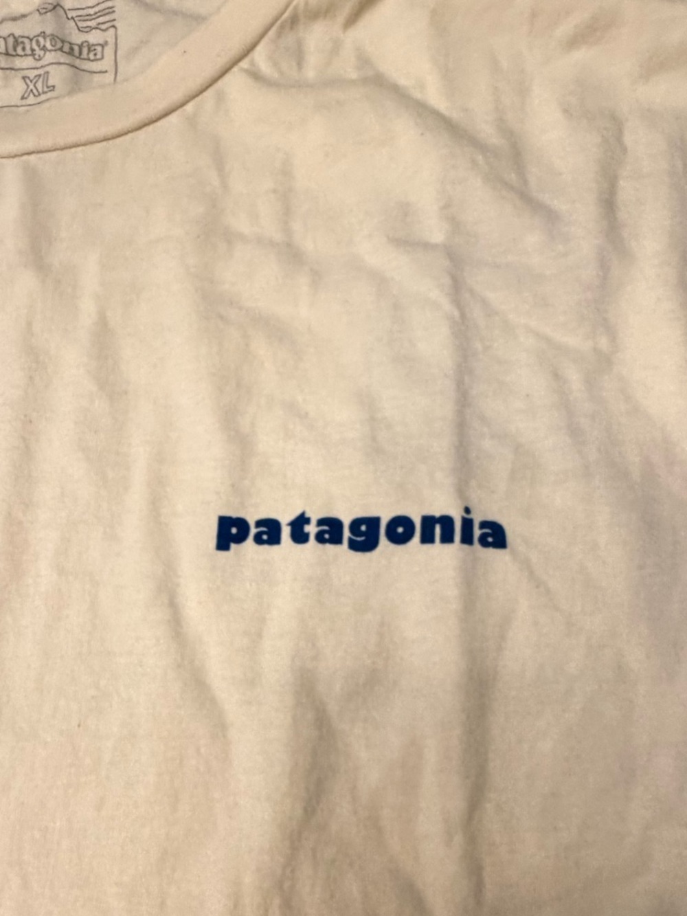 PATAGONIA men’s CTA Organic T-Shirt - ONLY EARTH UNDYED NATURAL - Picture 5 of 12